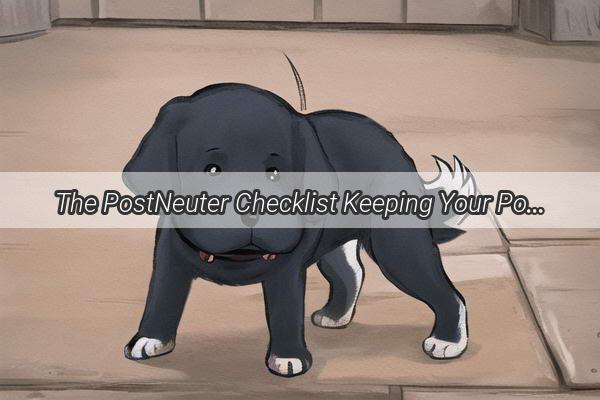 The PostNeuter Checklist Keeping Your Pooch Happy and Healthy After Surgery